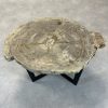 Couchtisch aus versteinertem Holz - Beige #189B4