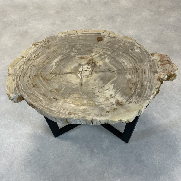 Couchtisch aus versteinertem Holz - Beige #189B4
