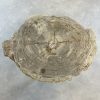 Couchtisch aus versteinertem Holz - Beige #189B4 – Bild 2