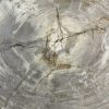 Couchtisch aus versteinertem Holz - Beige #189B4 – Bild 3