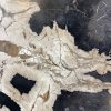 Couchtisch aus versteinertem Holz - Mix #382B9 – Bild 3