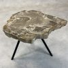 Versteend hout salontafel