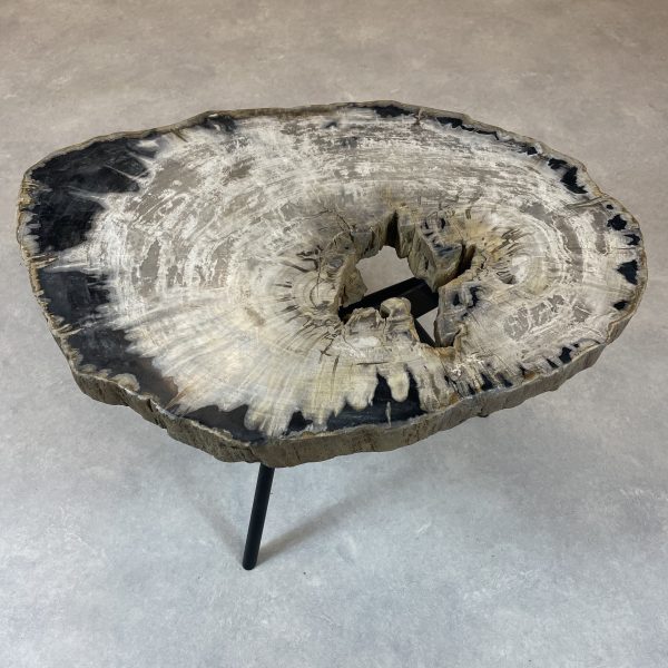 Couchtisch aus versteinertem Holz - Mix #422B9