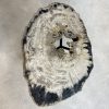Versteend hout salontafel