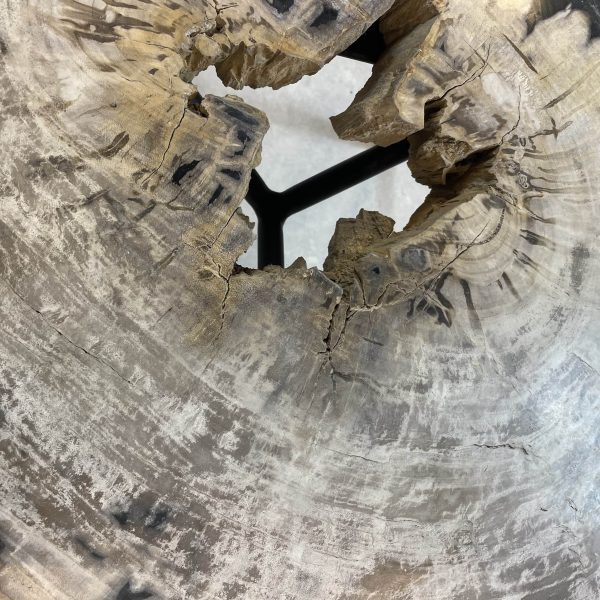 Couchtisch aus versteinertem Holz - Mix #422B9 – Bild 3