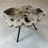 Versteend hout salontafel