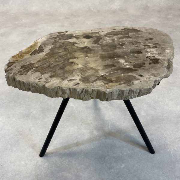 Couchtisch aus versteinertem Holz - Mix #208B4