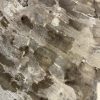 Couchtisch aus versteinertem Holz - Mix #208B4 – Bild 3
