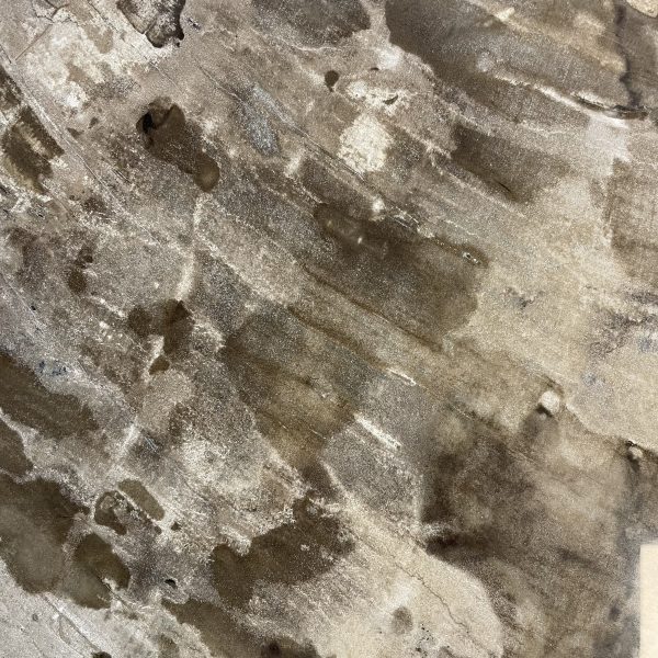 Couchtisch aus versteinertem Holz - Mix #208B4 – Bild 3