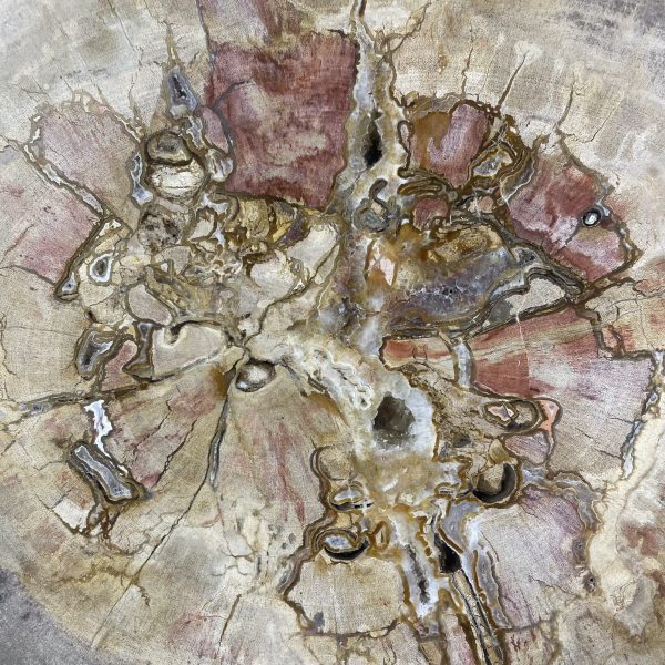 Couchtisch aus versteinertem Holz - Beige #140B4 – Bild 3