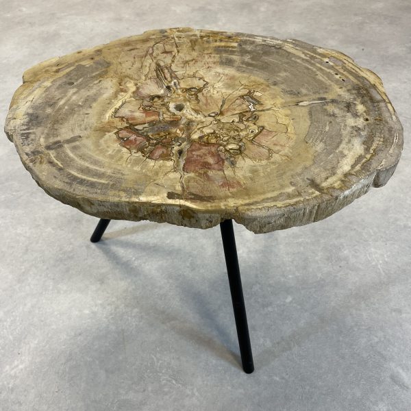 Couchtisch aus versteinertem Holz - Beige #140B4