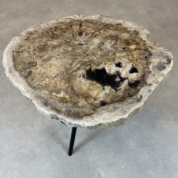 Couchtisch aus versteinertem Holz - Beige #154B9 – Bild 2