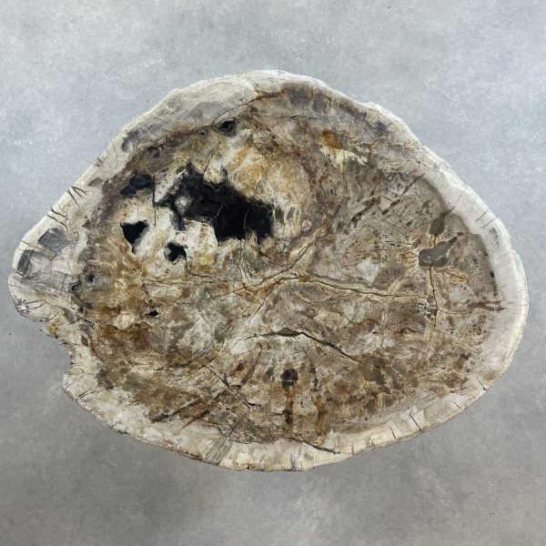 Couchtisch aus versteinertem Holz - Beige #154B9