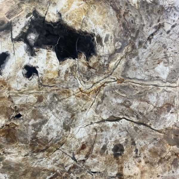 Couchtisch aus versteinertem Holz - Beige #154B9 – Bild 3