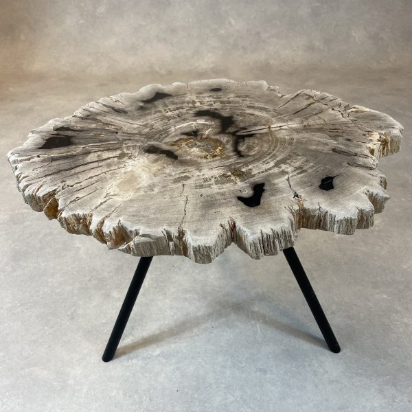 Couchtisch aus versteinertem Holz - Beige #55B9