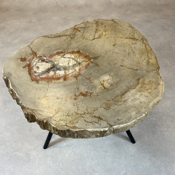 Couchtisch aus versteinertem Holz - Beige #156B9
