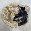 Versteend hout salontafel