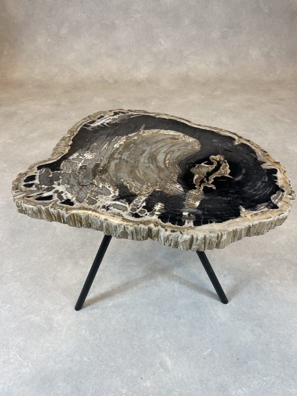 Couchtisch aus versteinertem Holz - Mix #316B10