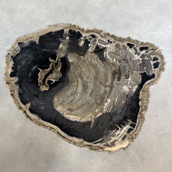 Couchtisch aus versteinertem Holz - Mix #316B10 – Bild 3