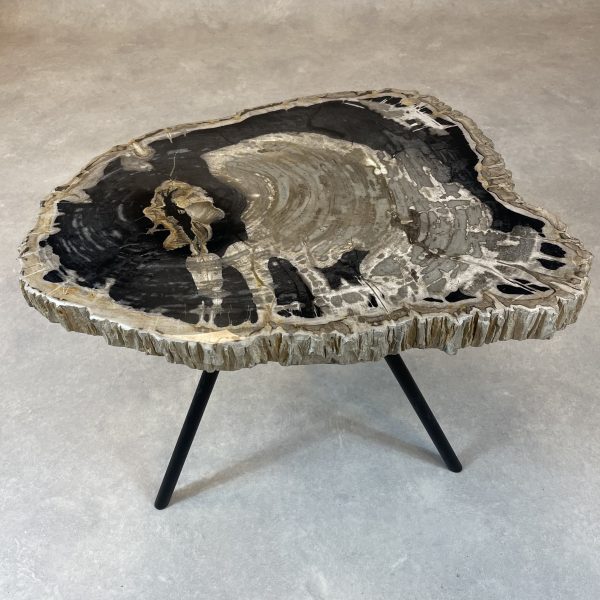 Couchtisch aus versteinertem Holz