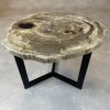 Versteend hout salontafel