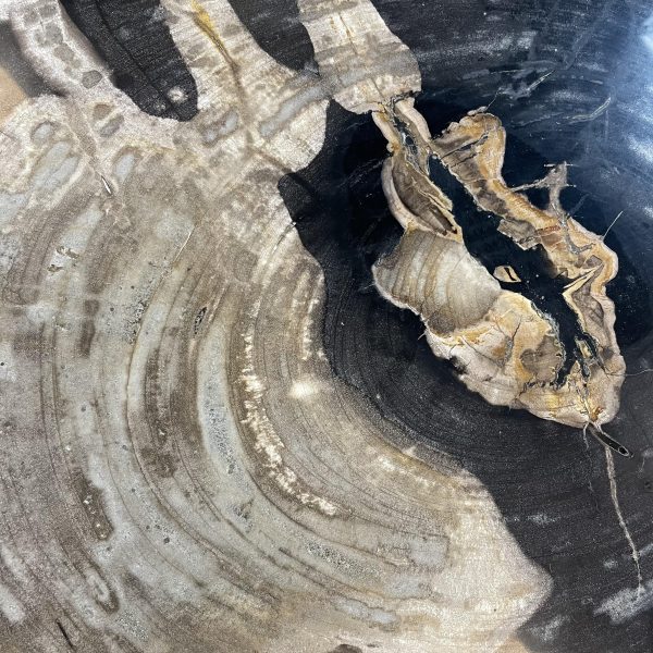 Couchtisch aus versteinertem Holz