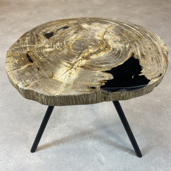 Couchtisch aus versteinertem Holz - Beige #389B10