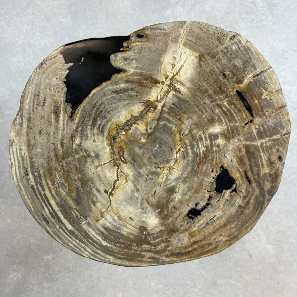 Couchtisch aus versteinertem Holz - Beige #389B10 – Bild 2