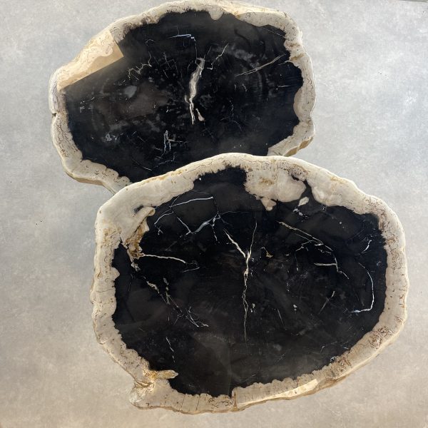 Couchtisch aus versteinertem Holz