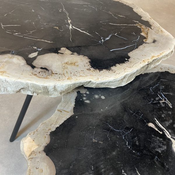 Couchtisch aus versteinertem Holz