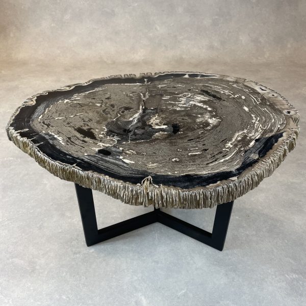 Couchtisch aus versteinertem Holz - Mix #313B10