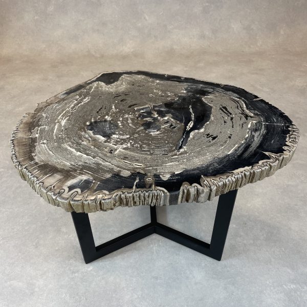 Couchtisch aus versteinertem Holz