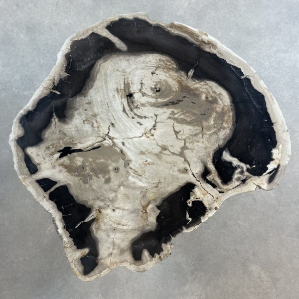 Couchtisch aus versteinertem Holz