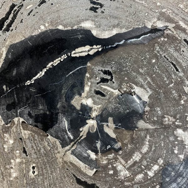 Couchtisch aus versteinertem Holz