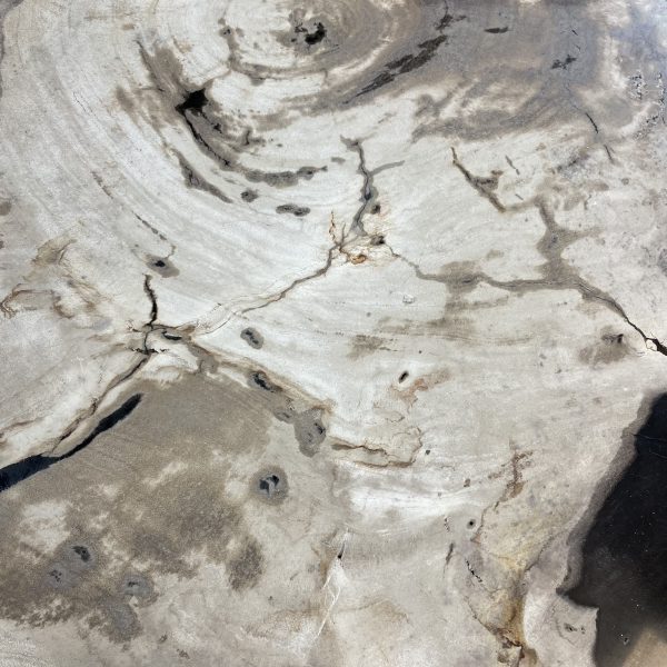 Couchtisch aus versteinertem Holz