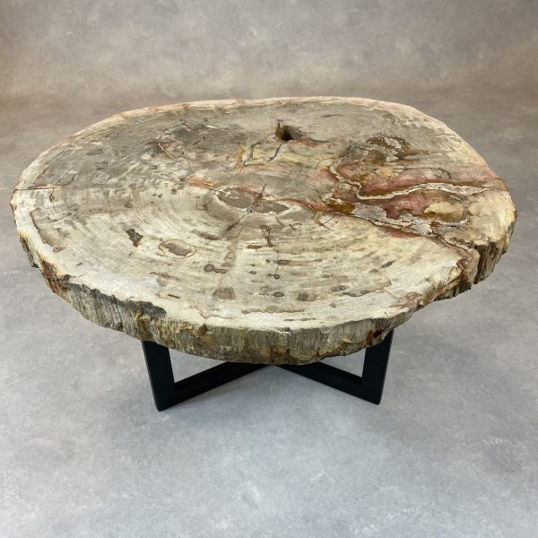 Couchtisch aus versteinertem Holz