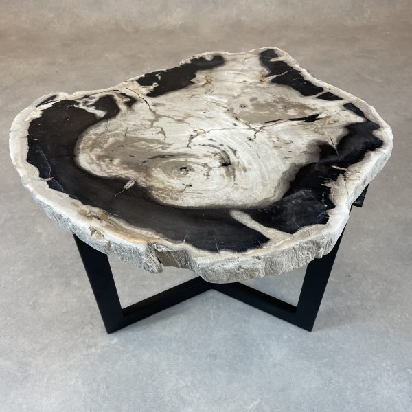 Couchtisch aus versteinertem Holz