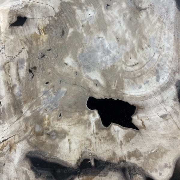 Couchtisch aus versteinertem Holz - Mix #312B10 – Bild 3
