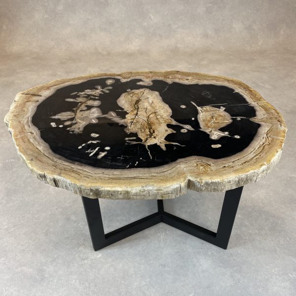 Versteend hout salontafel