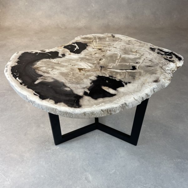 Versteend hout salontafel