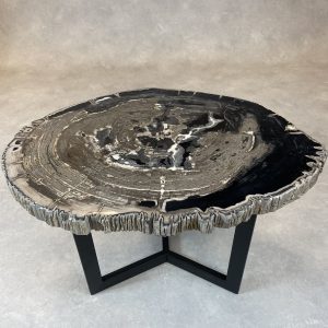 Couchtisch aus versteinertem Holz - Mix #305B10