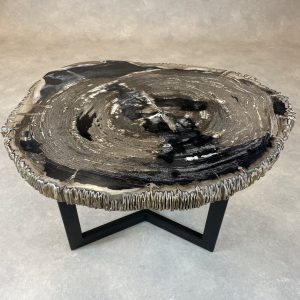 Couchtisch aus versteinertem Holz - Mix #322B10