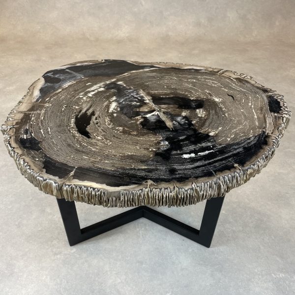 Couchtisch aus versteinertem Holz - Mix #322B10