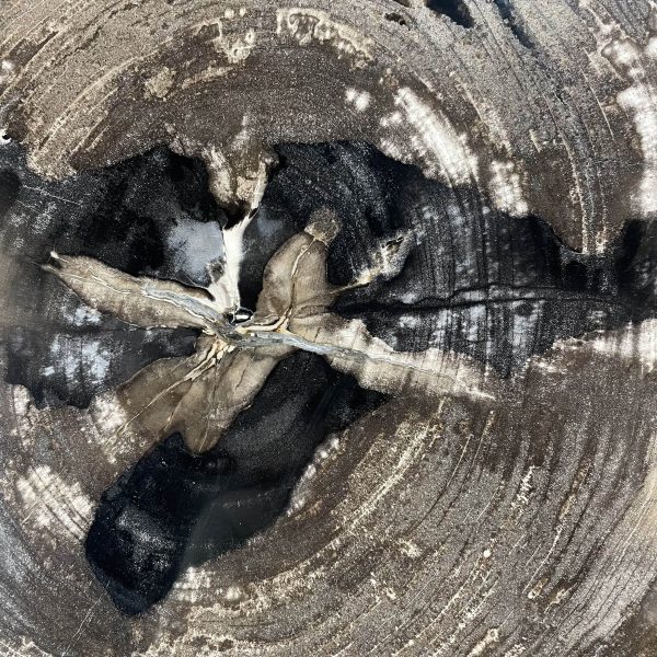 Couchtisch aus versteinertem Holz - Mix #322B10 – Bild 3