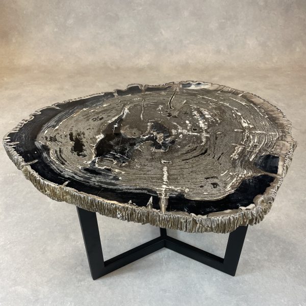 Couchtisch aus versteinertem Holz