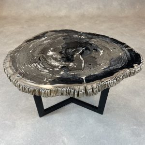 Couchtisch aus versteinertem Holz