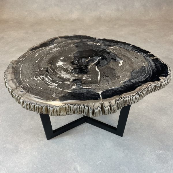 Couchtisch aus versteinertem Holz