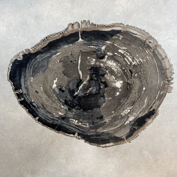 Couchtisch aus versteinertem Holz