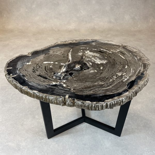 Couchtisch aus versteinertem Holz
