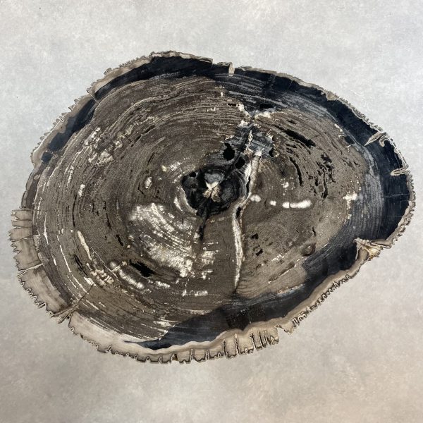Couchtisch aus versteinertem Holz